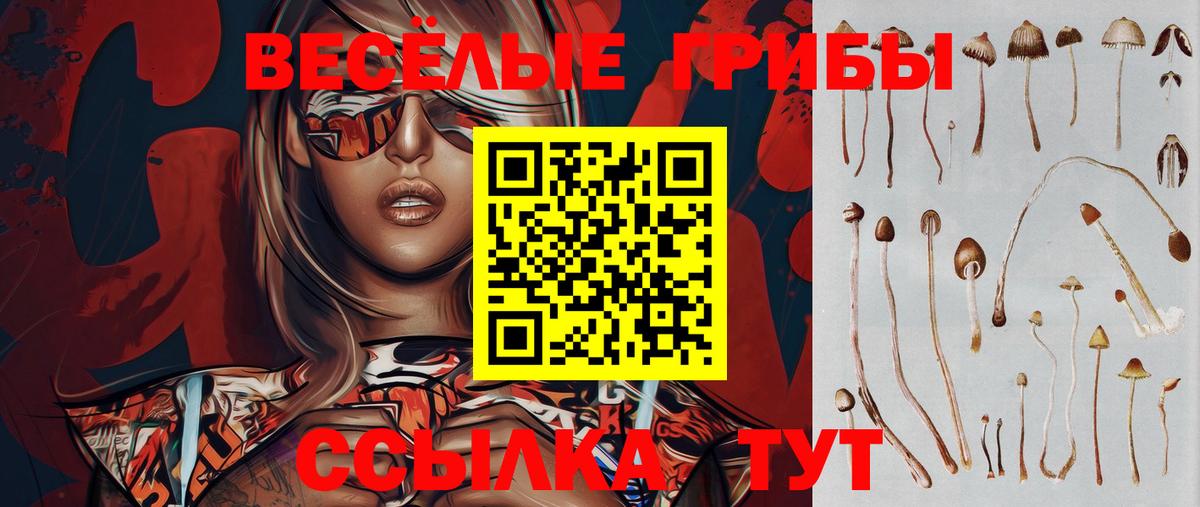 Галлюциногенные грибы Psilocybe Зеленодольск